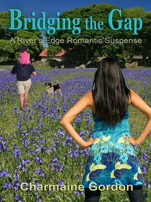 cover image of Bridging the Gap